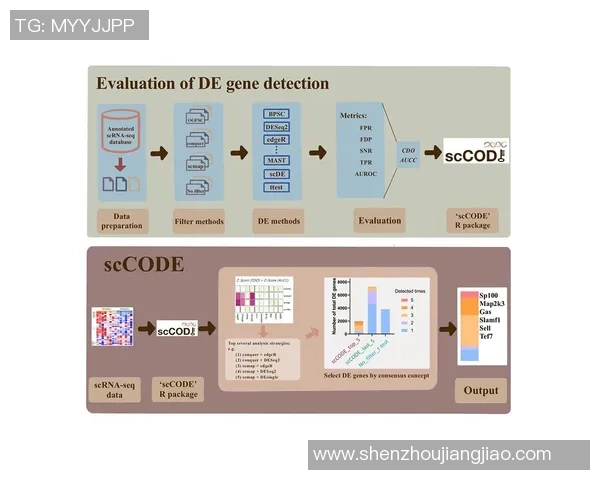 重庆篮球队团队协作表现的数据分析与提升策略探讨